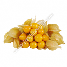 Goldenberry - Rasbhari 